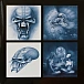 Vinyl Record Iron Maiden - The Final Frontier - img.3
