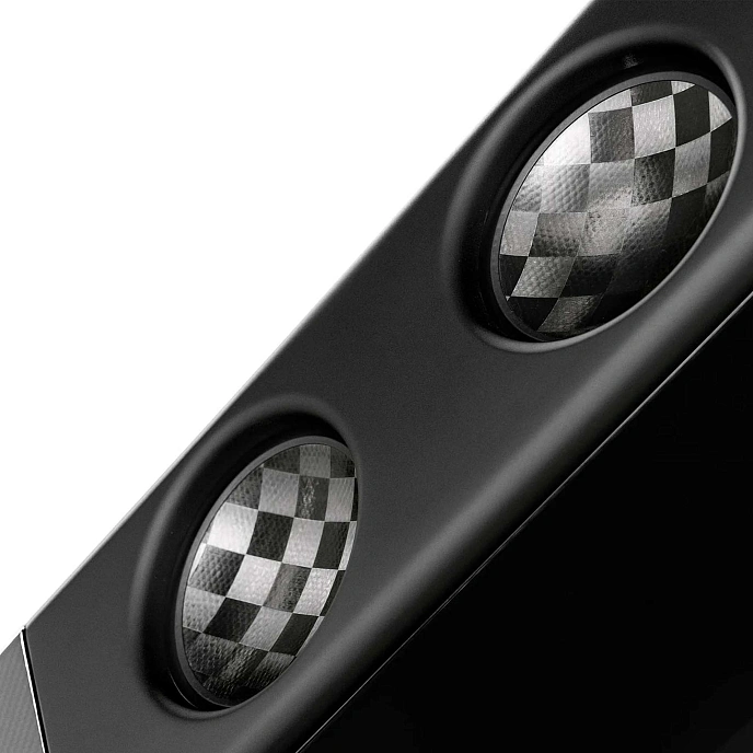 Floorstanding Speakers Borresen X2 Black Piano - img.5