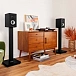 Bookshelf speakers Polk Audio Monitor XT15 Black - img.7
