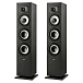 Floorstanding Speakers Polk Audio Monitor XT60 Black - img.0