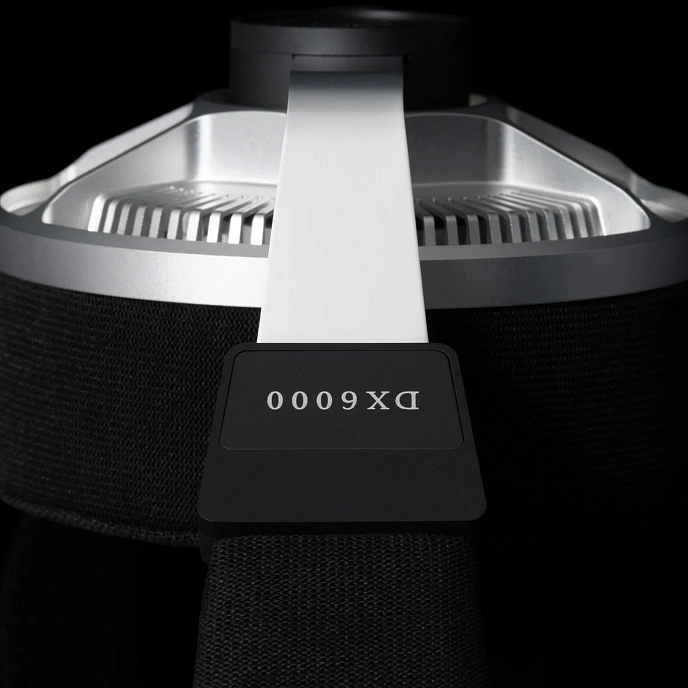Over-ear headphones Final Audio DX6000 Black Silver - img.2