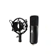 Microphone for streaming and gaming Maono AU-A04 - img.5