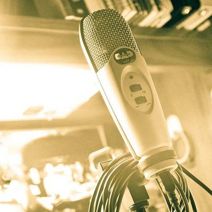 Studio microphone CAD U37 Champagne - img.3