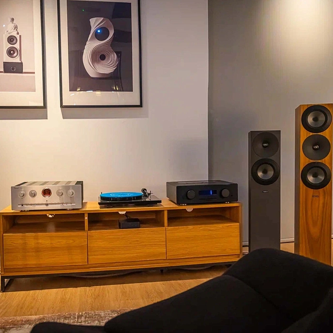 Integrated amplifier Vincent SV-237MKII SL Silver - img.9