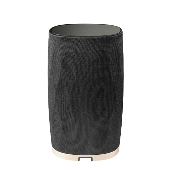Wireless Speaker Bowers & Wilkins Formation Flex - img.1