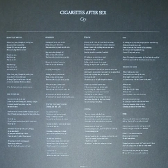 Vinyl Record Cigarettes After Sex - Cry - LP