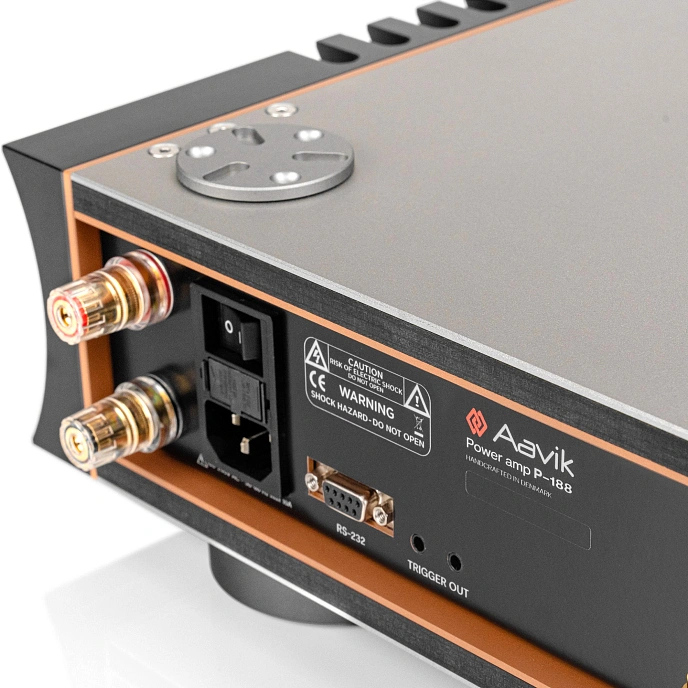 Power Amp Aavik P-188 Black Silver - img.3
