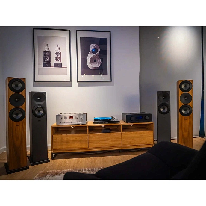 Floorstanding Speakers Amphion Argon3LS Black - img.5