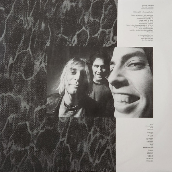 Vinyl Record Nirvana - Nevermind (Limited Edition Metallic Silver) LP - img.5