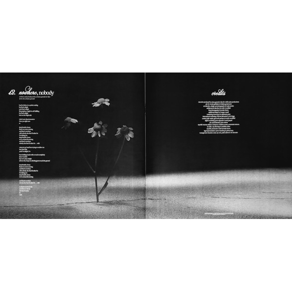 Vinyl Record Ariana Grande - Petal (Opaque Gray (Gray Skies), Alternate Cover) LP - img.14