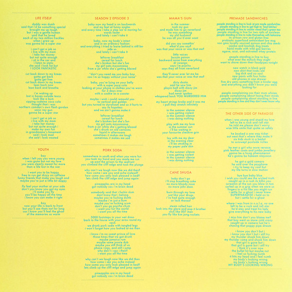 Vinyl Record Glass Animals - How To Be A Human Being LP - img.2