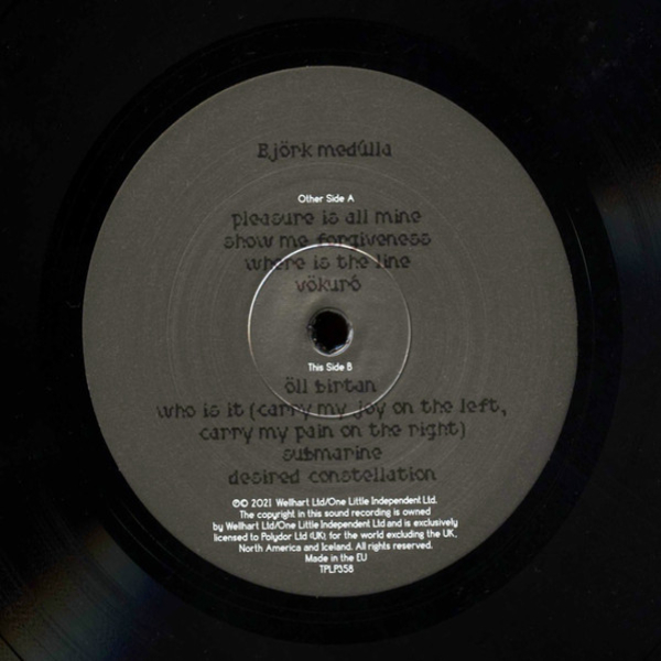 Vinyl Record Bjork – Medulla - 2LP - img.8