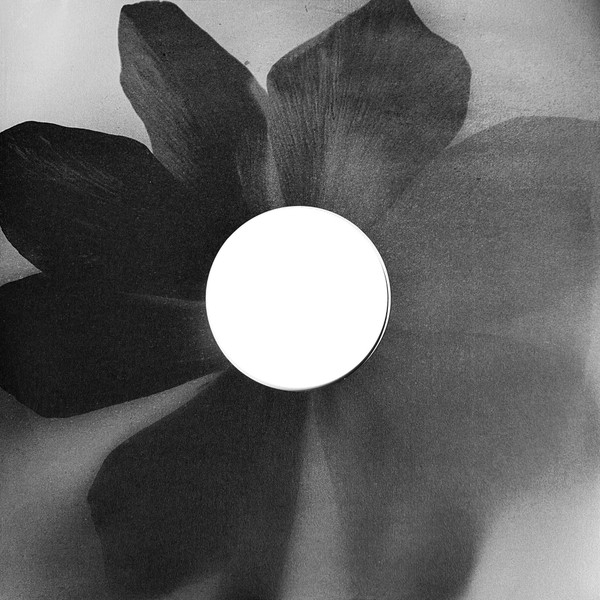 Vinyl Record Ariana Grande - Petal (Opaque Gray (Gray Skies), Alternate Cover) LP - img.7