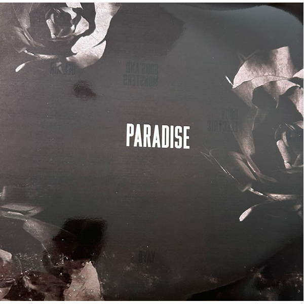 Vinyl Record Lana Del Rey - Paradise - Explicit LP - img.2