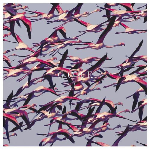Vinyl Record Deftones - Gore - img.0