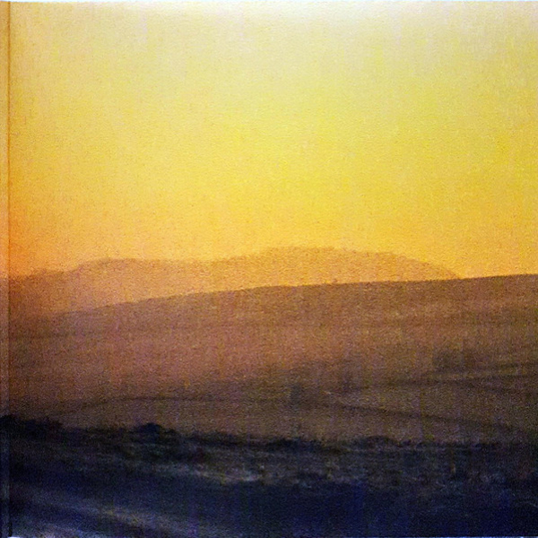 Vinyl Record Arctic Monkeys - Suck It And See LP - img.7