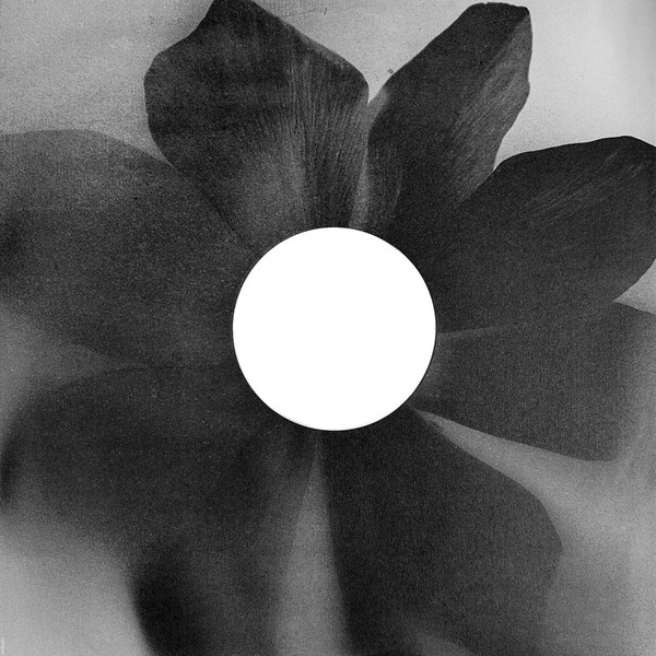 Vinyl Record Ariana Grande - Petal (Opaque Gray (Gray Skies), Alternate Cover) LP - img.8