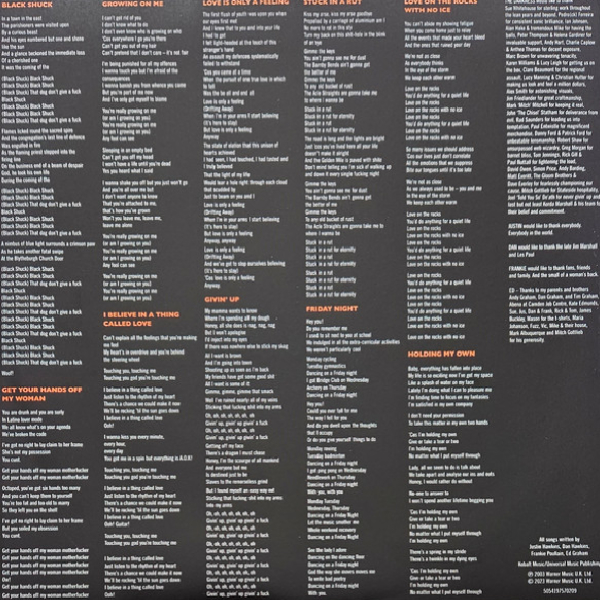 Vinyl Record The Darkness – Permission To Land LP - img.6