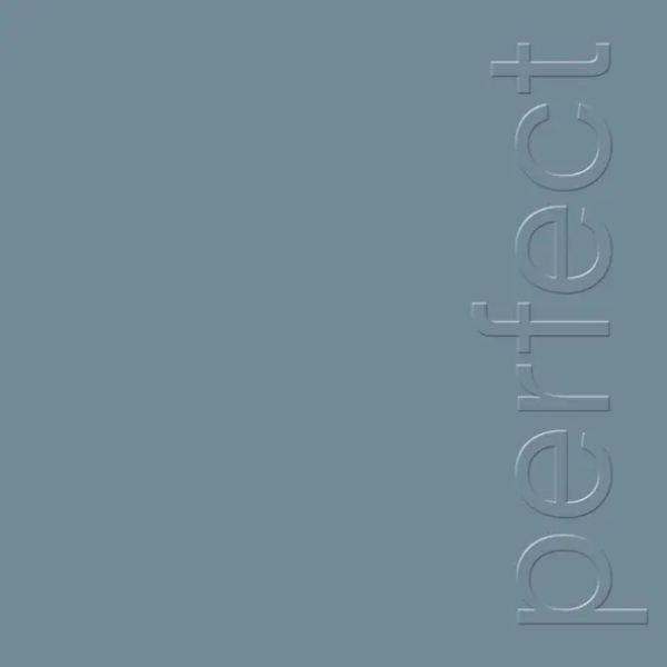 Vinyl Record New Order - The Perfect Kiss LP - img.0