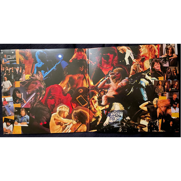 Vinyl Record Guns N Roses - Use Your Illusion I Remastered 2022 LP - img.1