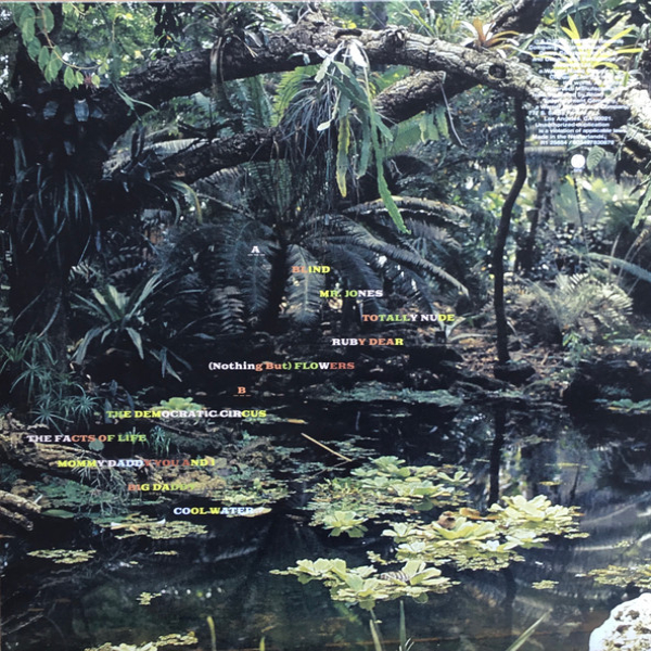 Vinyl Record Talking Heads - Naked LP - img.3