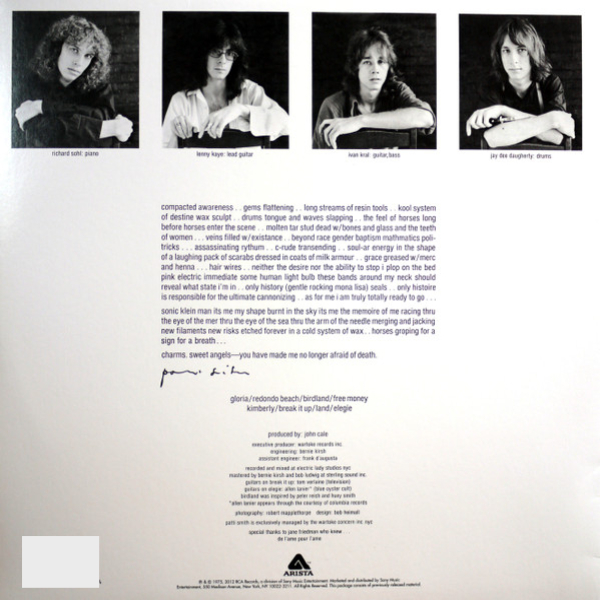Vinyl Record Patti Smith - Horses LP - img.1