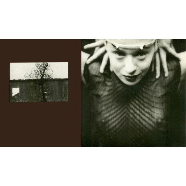 Сassette Tape The Smashing Pumpkins - Adore - img.5