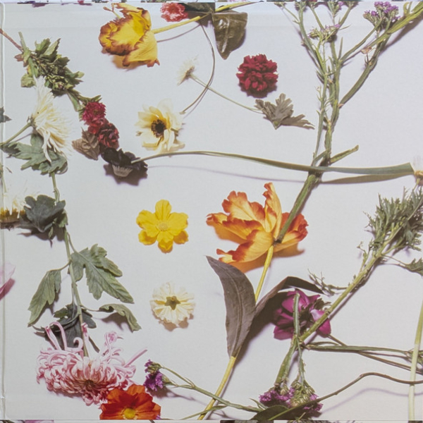 Vinyl Record Prince And The Revolution – Purple Rain LP - img.9