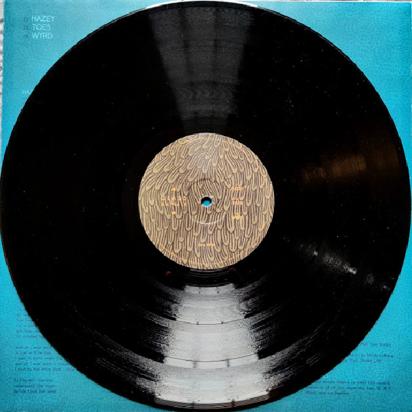 Vinyl Record Glass Animals - ZABA LP - img.7