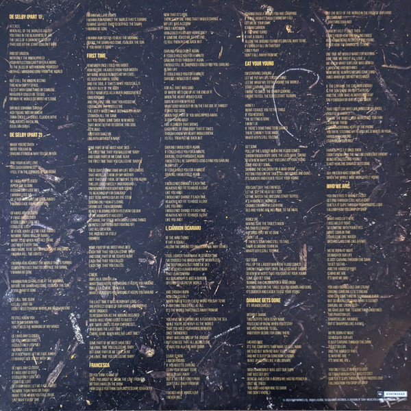 Vinyl Record Hozier - Unreal Unearth 2LP - img.5