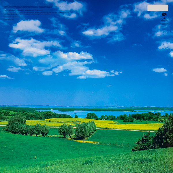 Vinyl Record David Bowie – Earthling - 2LP - img.1