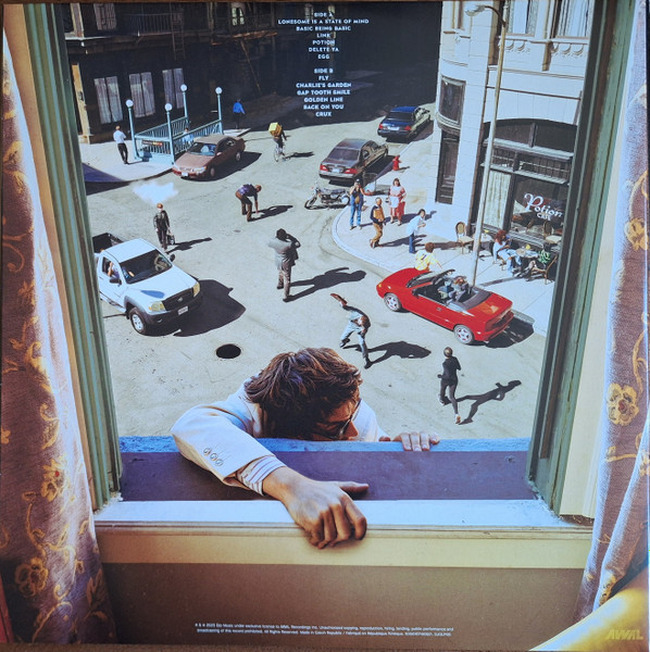 Vinyl Record Djo - The Crux LP - img.1