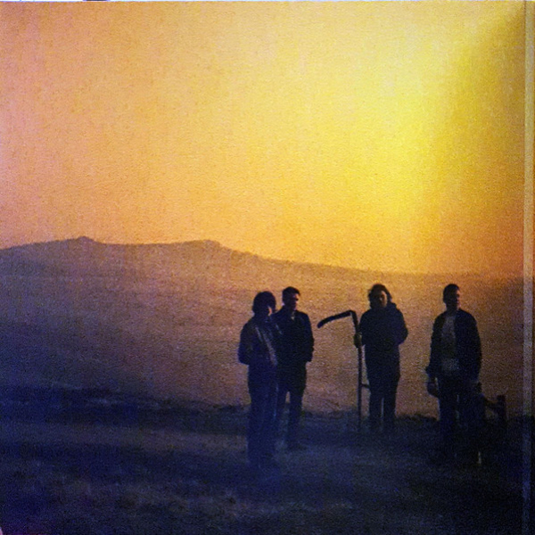 Vinyl Record Arctic Monkeys - Suck It And See LP - img.6