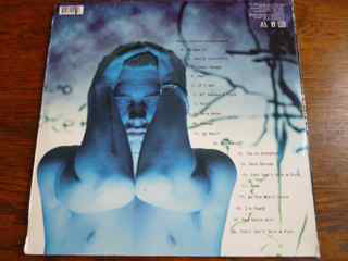 Vinyl Record Eminem - The Slim Shady LP - img.1