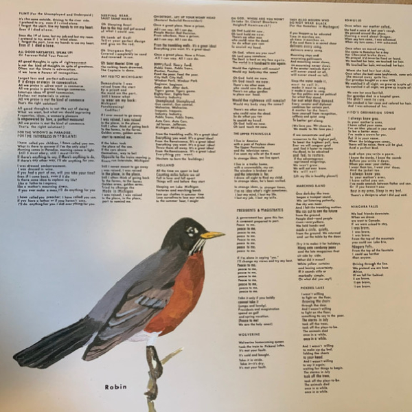 Vinyl Record Sufjan Stevens – Greetings From Michigan The Great Lake State - LP - img.2