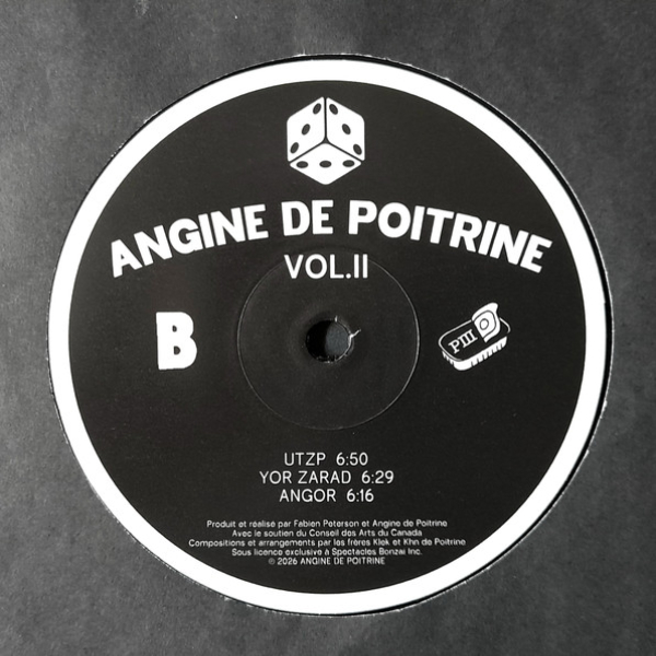 Vinyl Record Angine De Poitrine - Vol. II LP - img.5