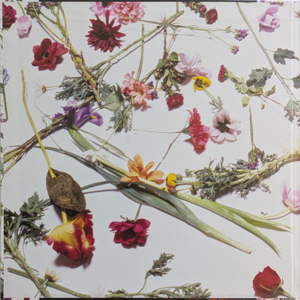 Vinyl Record Prince And The Revolution – Purple Rain LP - img.7