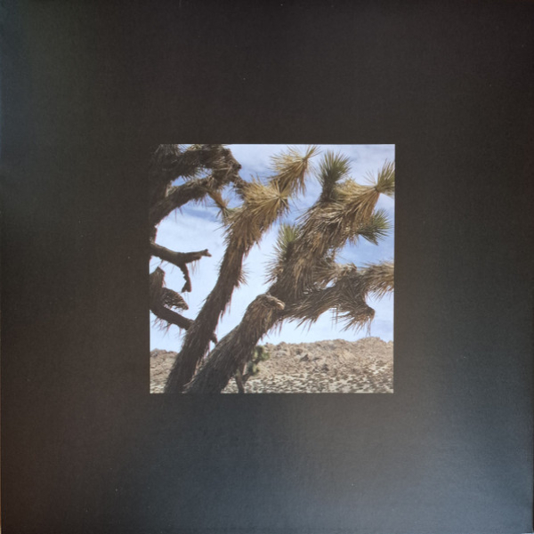 Vinyl Record Moby - Future Quiet (coloured) - 2LP - img.2