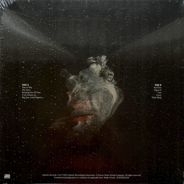 Vinyl Record Paramore – This Is Why LP - img.2