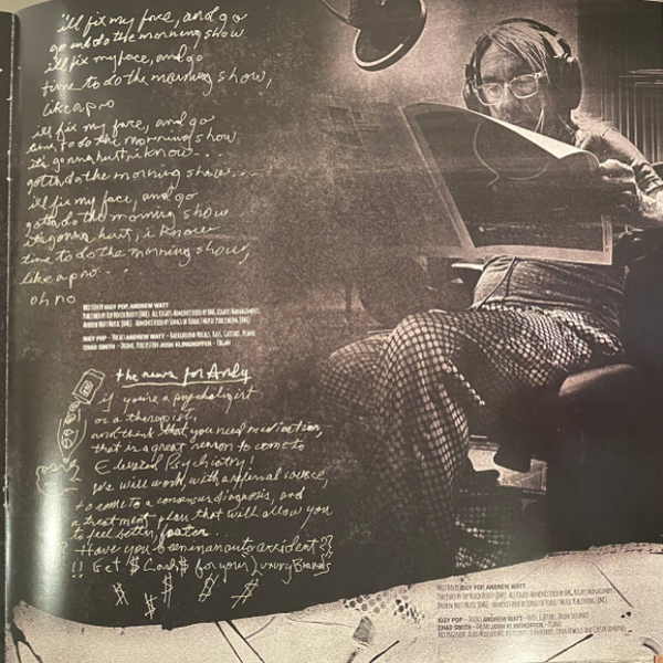 Vinyl Record Iggy Pop – Every Loser LP - img.6