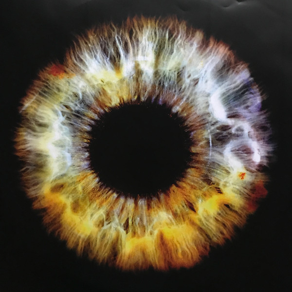 Vinyl Record David Bowie – Earthling - 2LP - img.6