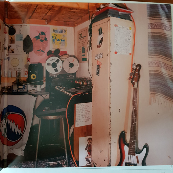 Vinyl Record Mac DeMarco - Salad Days LP - img.2