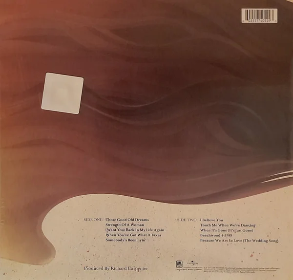 Vinyl Record Carpenters – Made In America LP - img.1