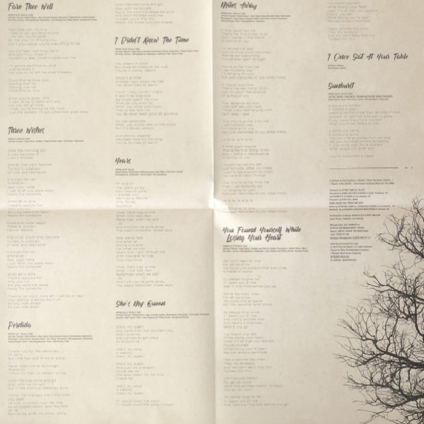 Vinyl Record Stone Temple Pilots – Perdida LP - img.1