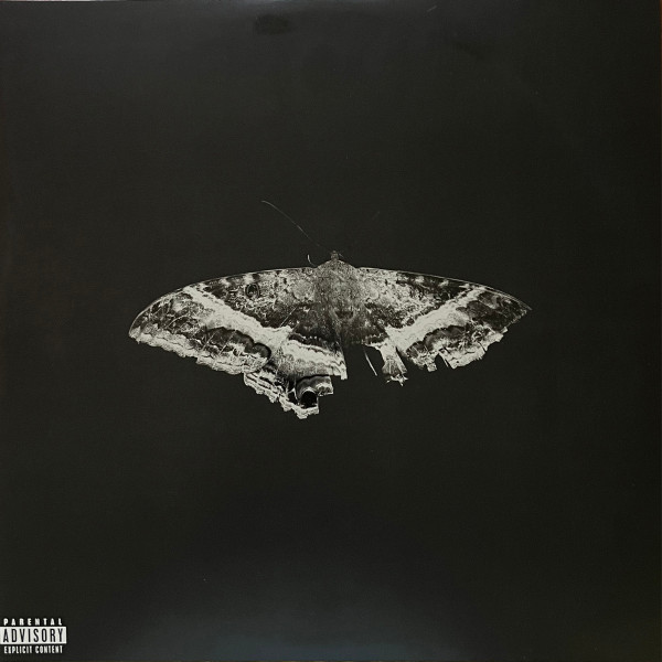 Vinyl Record Kendrick Lamar – To Pimp A Butterfly - 10th Anniversary - 2LP - img.0