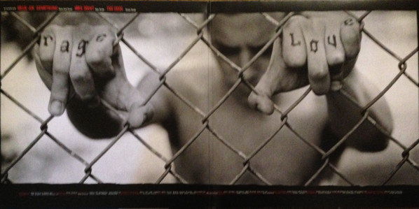 Vinyl Record Green Day - American Idiot - img.2