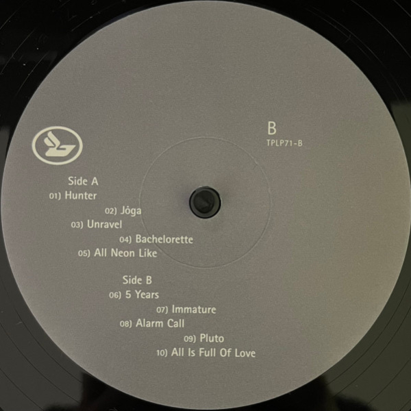 Vinyl Record Bjork – Homogenic LP - img.5