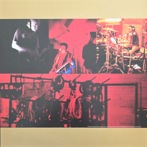 Vinyl Record Bush - Golden State (Rocktober 2024 Translucent Golden edition) LP - img.5