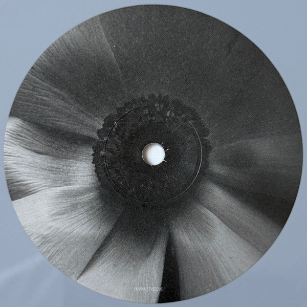 Vinyl Record Ariana Grande - Petal (Opaque Gray (Gray Skies), Alternate Cover) LP - img.6