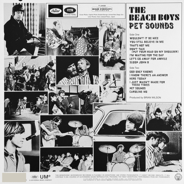 Vinyl Record The Beach Boys - Pet Sounds LP - img.1